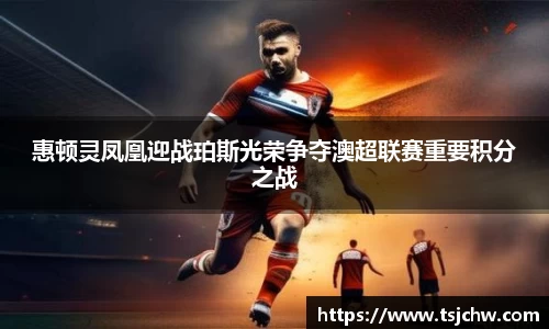 B体育bsports