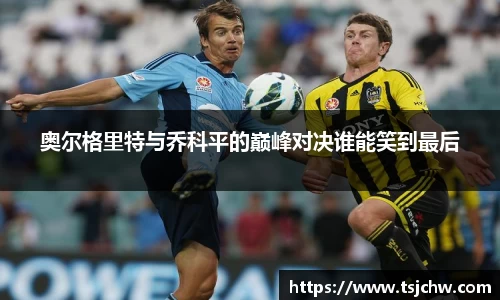 bsports官网入口